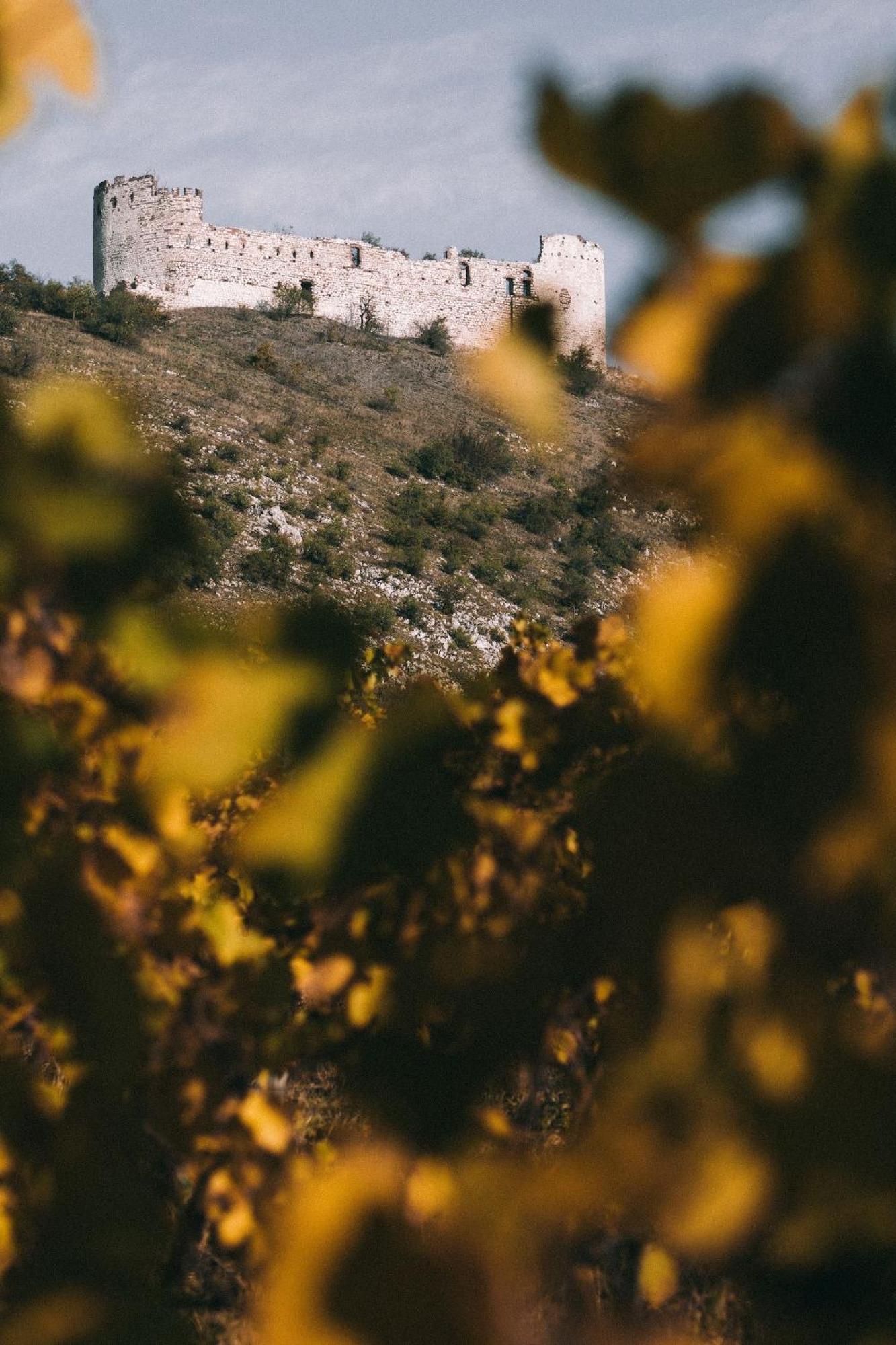 לינה וארוחת בוקר פבלוב Marinada Vinicni Dum מראה חיצוני תמונה